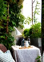 22142_50422.webp