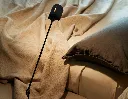 Gallery_Daphine_07.webp