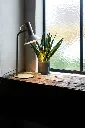 SCHELSTRAETE 027-RZ.f917b87d.webp