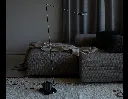 terra_001.webp