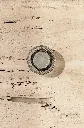 fof2991-793x1200.webp