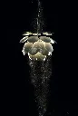 Marset-Lampara-Discoco-813x1200.webp