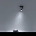 MIRA_02.webp