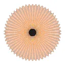 image (1).webp