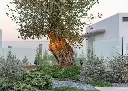 MIC001005_Micro_on_pin_outdoor_Spike_MI25_Authentage_Agarve_Design_kopie_1179x842.webp