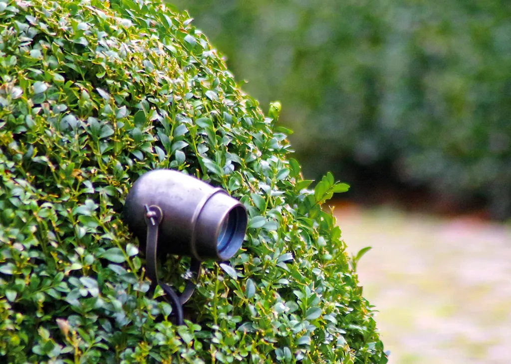 MIC001005_Micro_on_pin_outdoor_Spike_MI63_Authentage_kopie_1179x842.webp