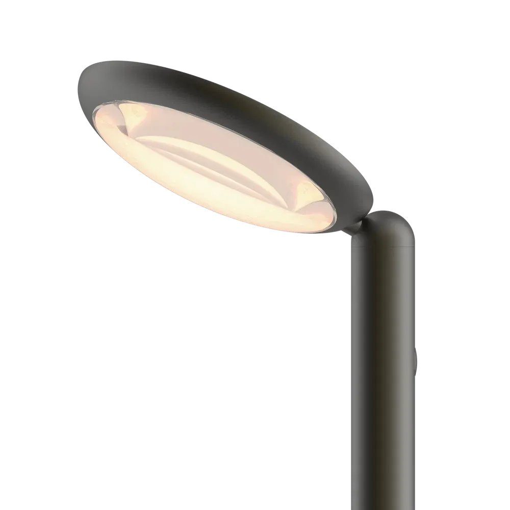 GRAU_PAM1-50_Parrot-Floor-Portable_Black-Brass_Lens.webp