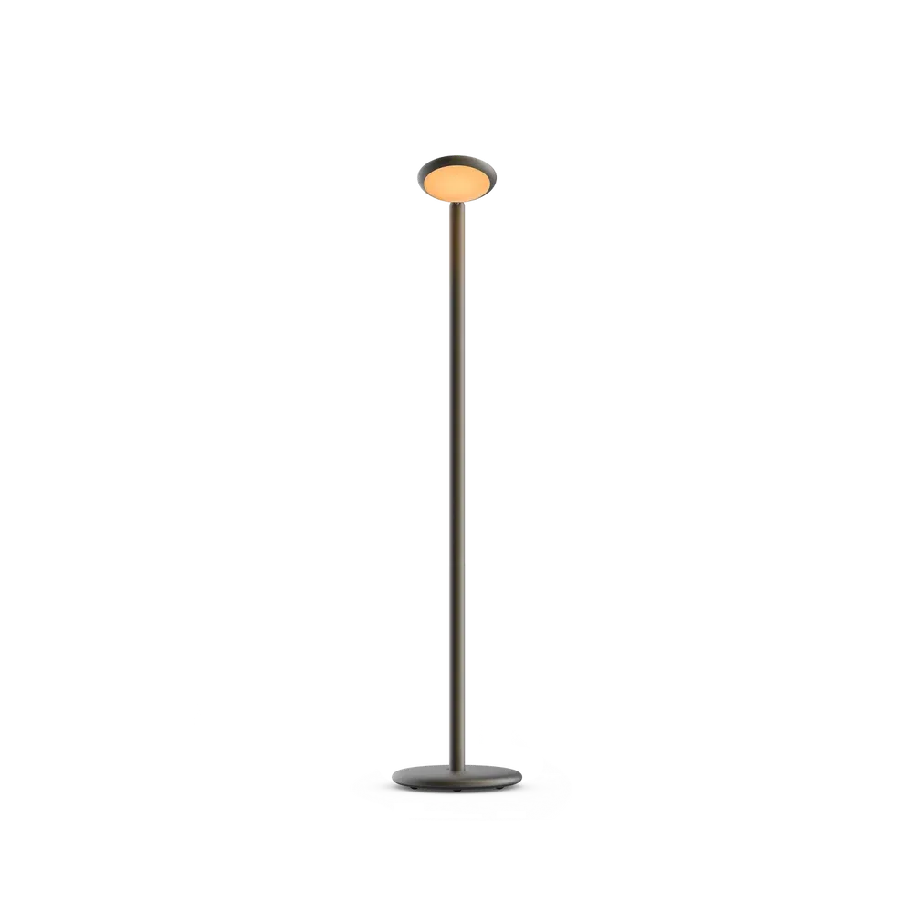 GRAU_PAM1-50_Parrot-Floor-Portable_Black-Brass_Front.webp