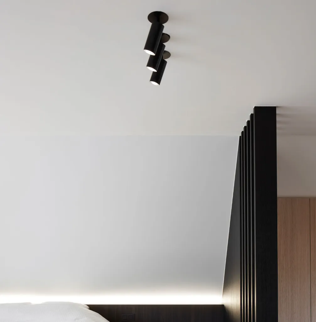 project-victor-c1-03.webp