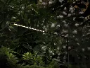 lampada-piantana-esterni-bella-7-scaled.webp