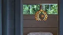 Secto-Design-Octo-Small-4241-pendant-lamp-ref_1.webp