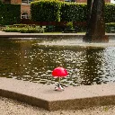 68752_50422.webp