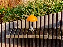 66387_50422.webp