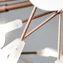 Heracleum-detail-copper-Electrosandwich-Sample.webp