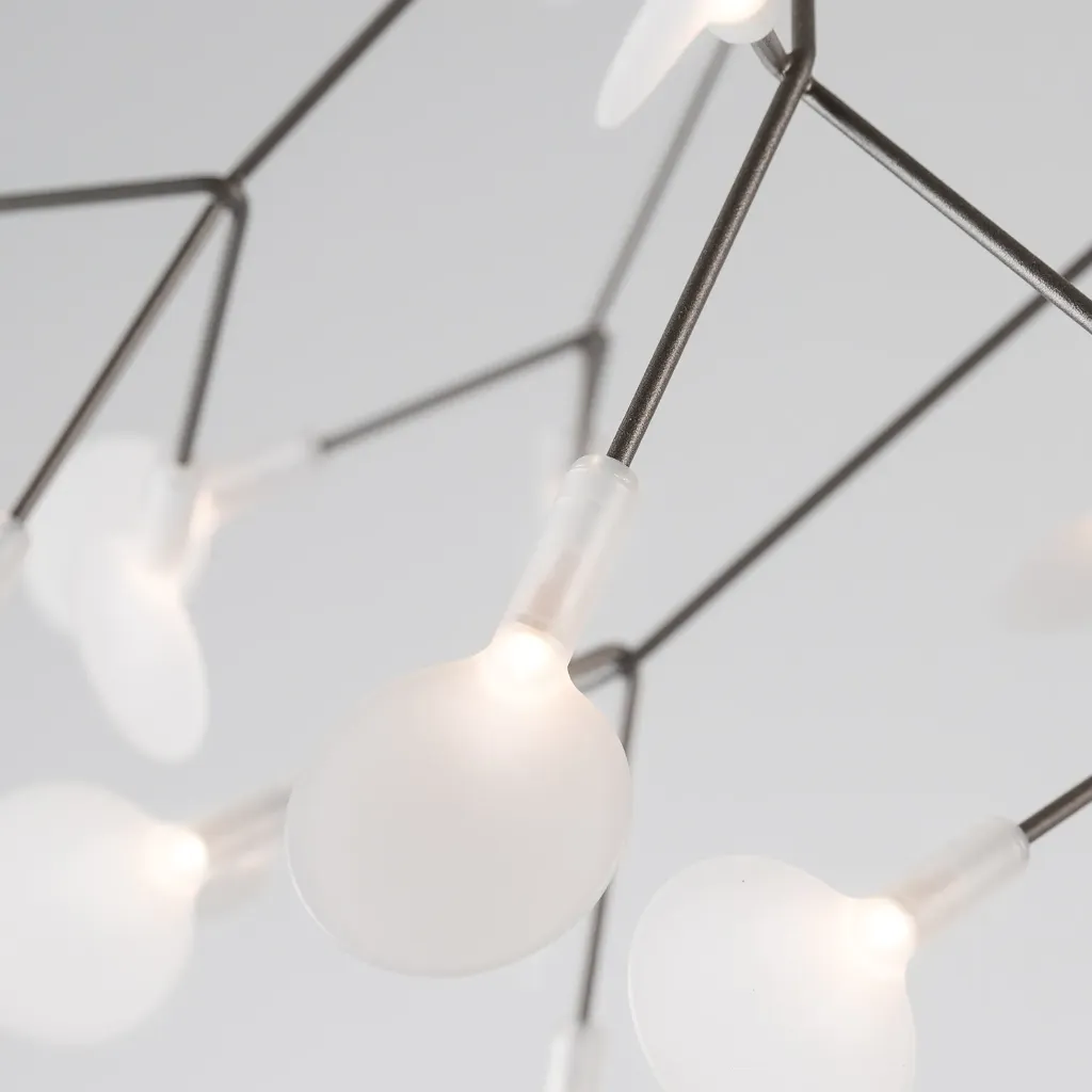 Heracleum-Nickel.webp