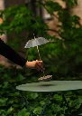 Mayfair_Mini_IG_4_dd3a5356d9.webp