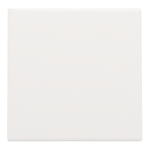 [NIK-154-76901] BLINDPLAAT