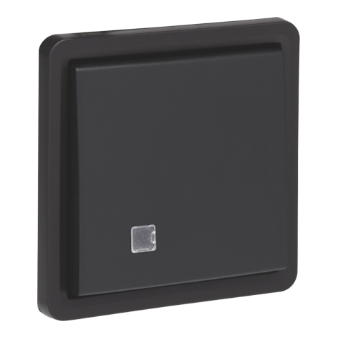 [NIK-761-37200] SPUITWATERDICHTE 2-POL. CONTROLESCHAKELAAR 10A, SCHROEF, EXC. LED