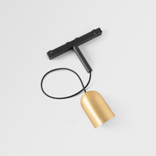 Placebo Track 48V Suspended Down 60 1x LED 2700K DALI Champagne Brushed Anodised