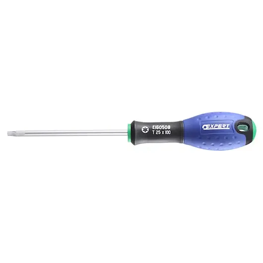 [EXP-E160505] SCHROEVENDRAAIER T10X75