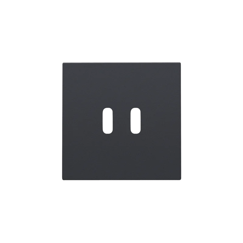 Afwerkingsset voor dubbele smart USB-C-lader, anthracite coated