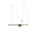 Palma, Pendant, Graphite, 2700K, DALI, 1-10V, Push