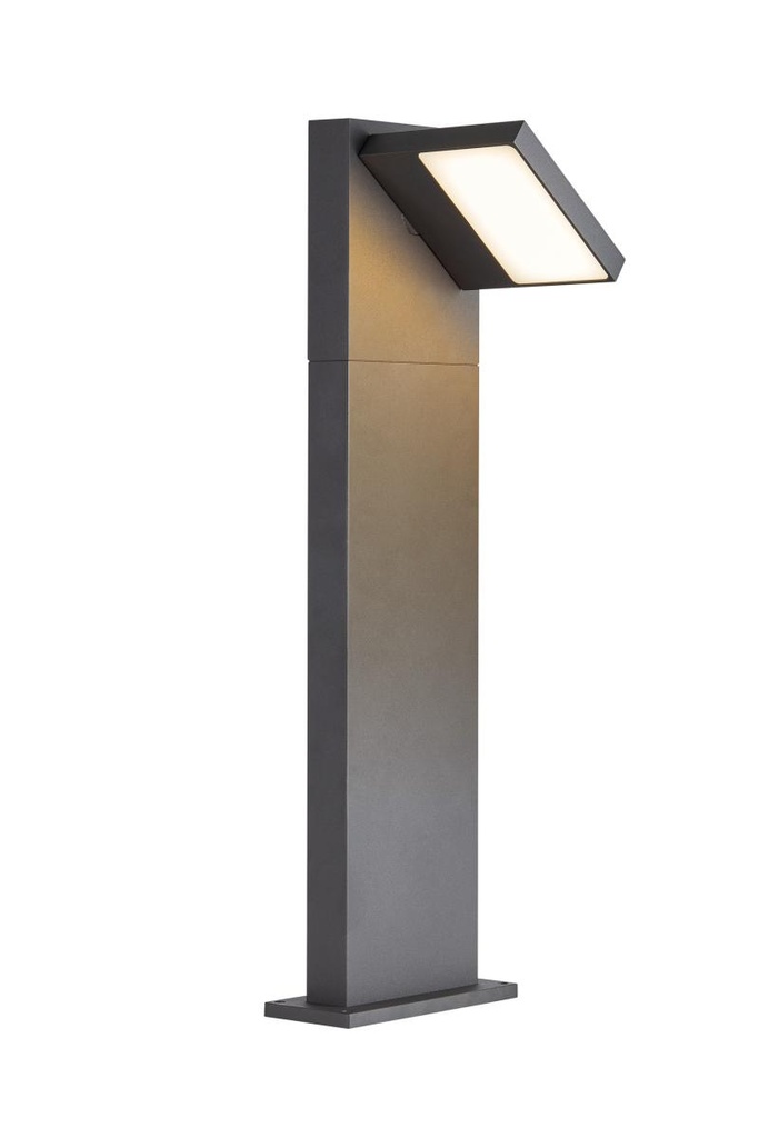ABRIDOR POLE 60, outdoor LED staanlamp IP55 antraciet 3000/4000K