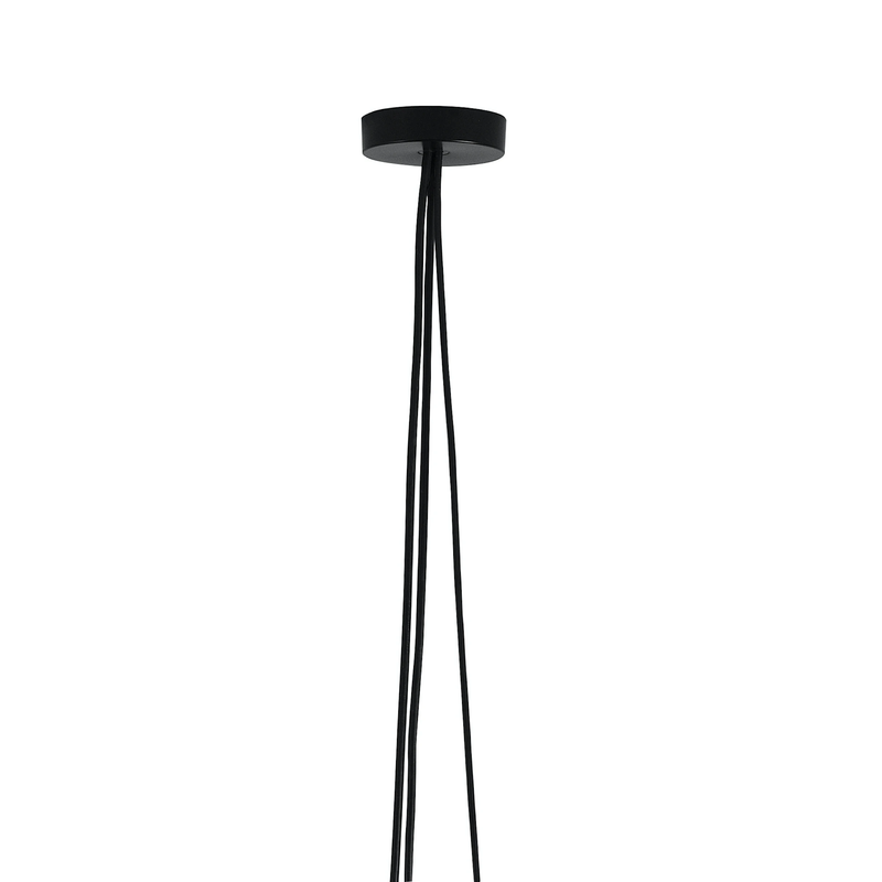 [FLO-F0093030] AIM/AIM SMALL EU ROSE MULT.BLK