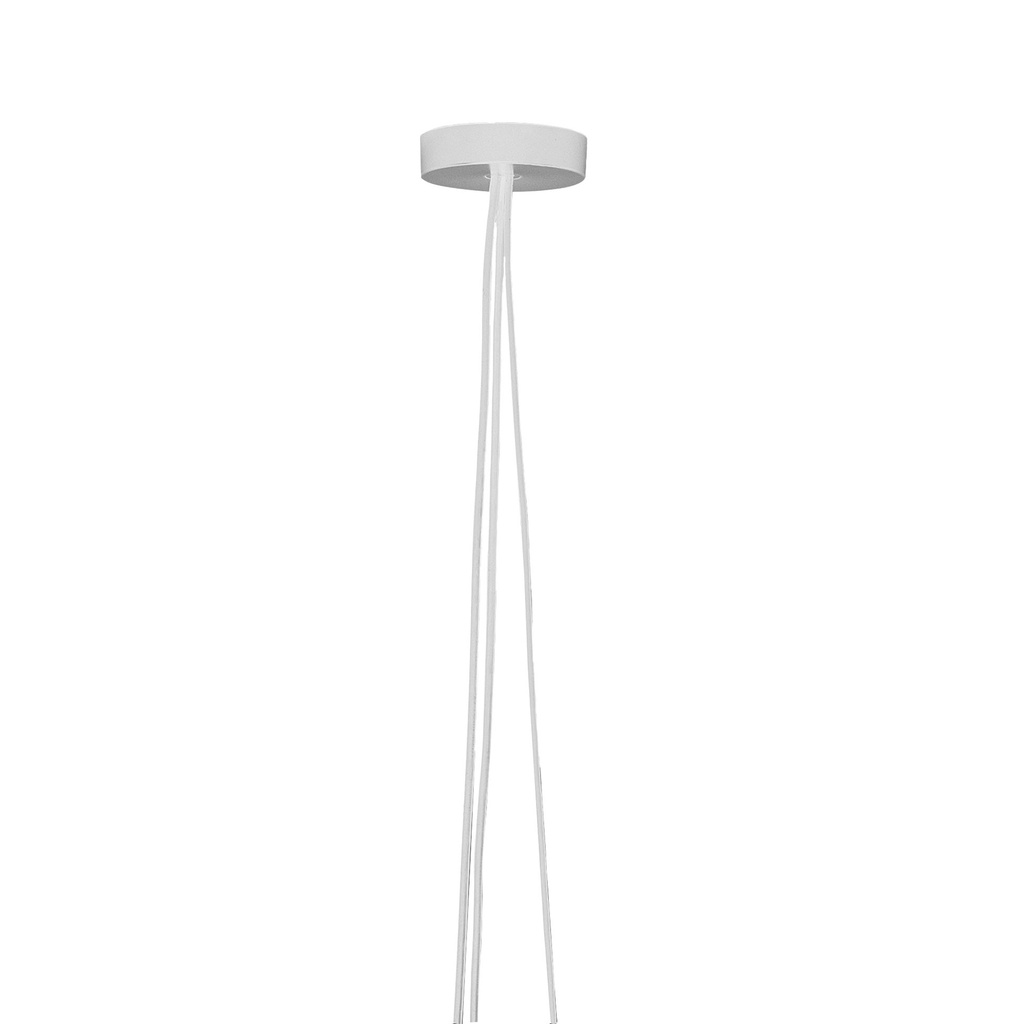 [FLO-F0093009] AIM/AIM SMALL EU ROSE MULT.WHT