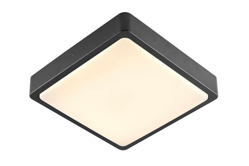 AINOS SQUARE SENSOR outdoor LED wand- en plafondarmatuur antraciet CCT Switch 3000/4000K