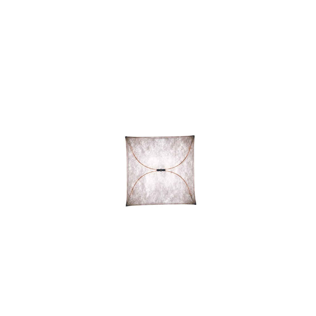 ARIETTE 1 EU/CCC/IR
