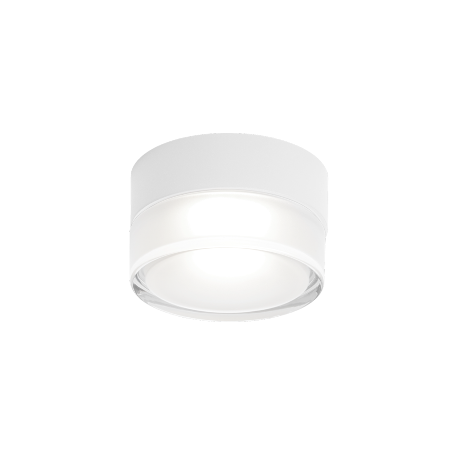 [WND-736387W4] BLAS OUTDOOR CEILING / WALL SURF 1.0 LED 3000K W