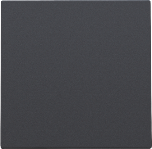 [NIK-122-76901] BLINDPLAAT