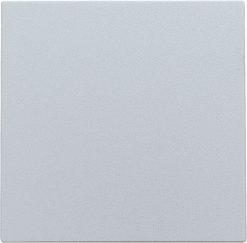 [NIK-121-76901] BLINDPLAAT