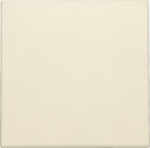 [NIK-100-76901] BLINDPLAAT