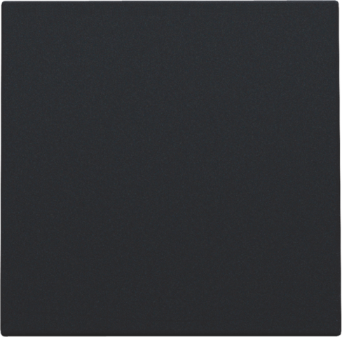 [NIK-161-76901] BLINDPLAAT