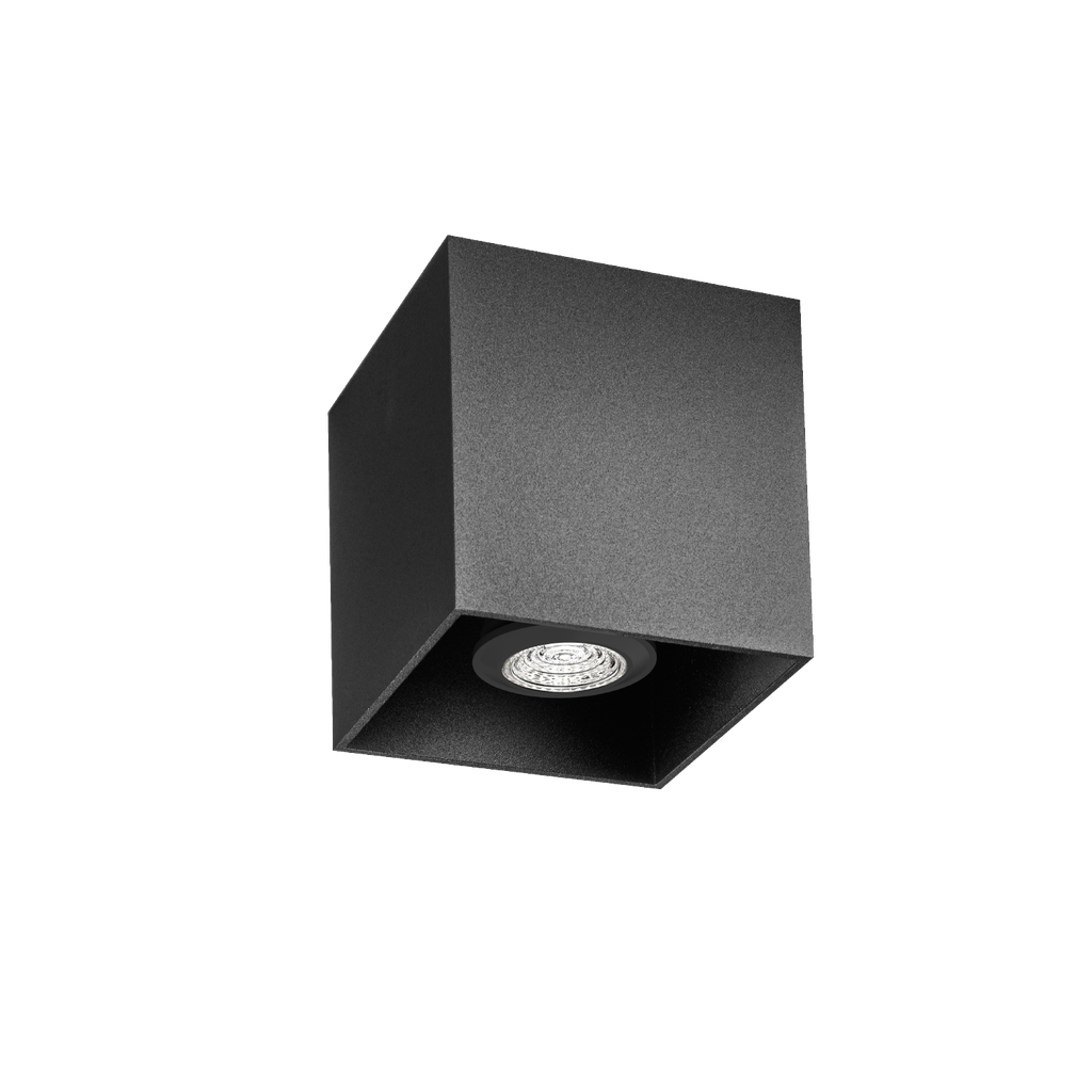 BOX CEILING SURF 1.0 PAR16 B