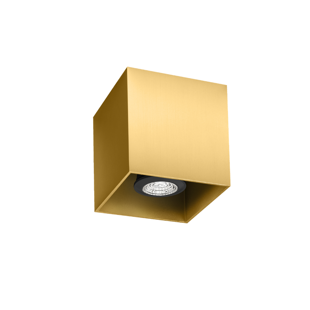 [WND-146120G0] BOX CEILING SURF 1.0 PAR16 G