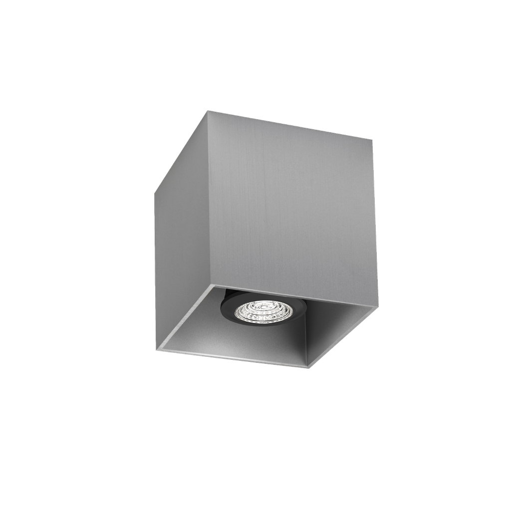 BOX CEILING SURF 1.0 PAR16 L