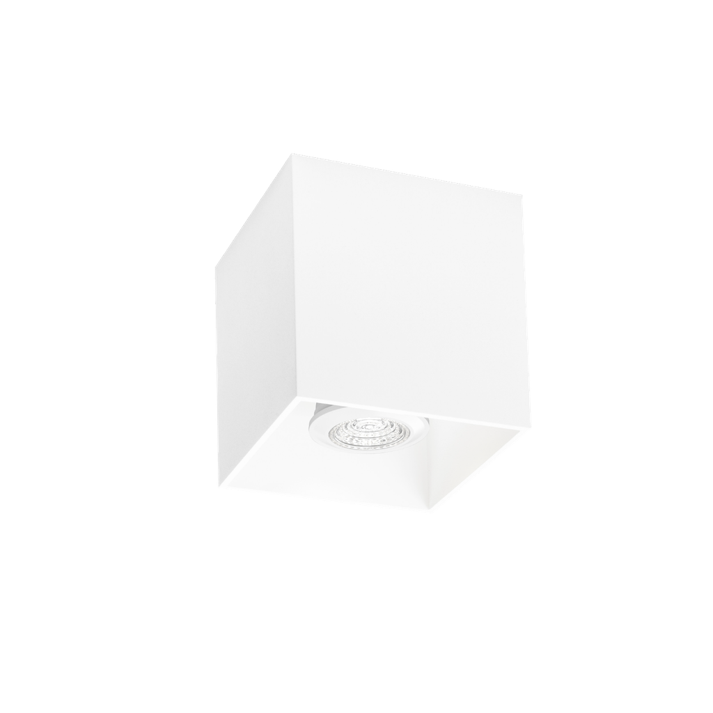 [WND-146120W0] BOX CEILING SURF 1.0 PAR16 W