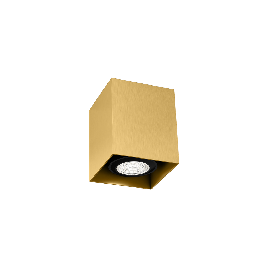 [WND-258120G0] BOX MINI CEILING SURF 1.0 PAR16 G