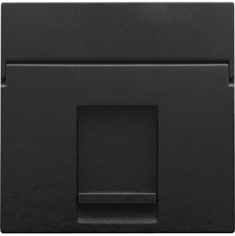 [NIK-200-65100] CENTRAALPLAAT DATA 1X RJ