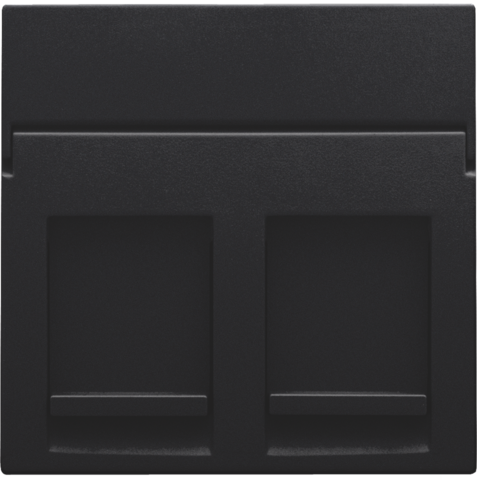 [NIK-161-65200] CENTRAALPLAAT DATA 2X RJ