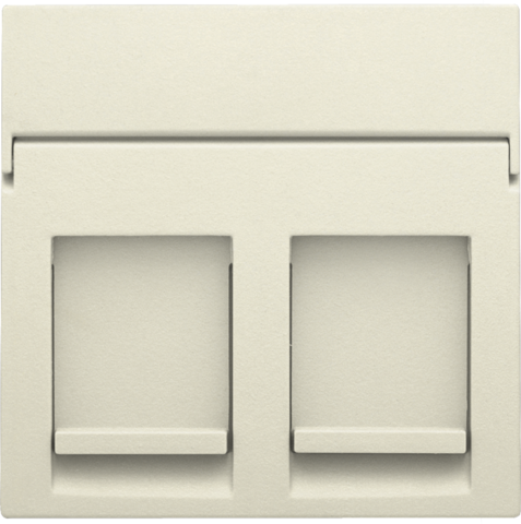 [NIK-100-65200] CENTRAALPLAAT DATA 2X RJ