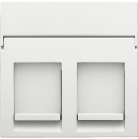 [NIK-154-65200] CENTRAALPLAAT DATA 2X RJ