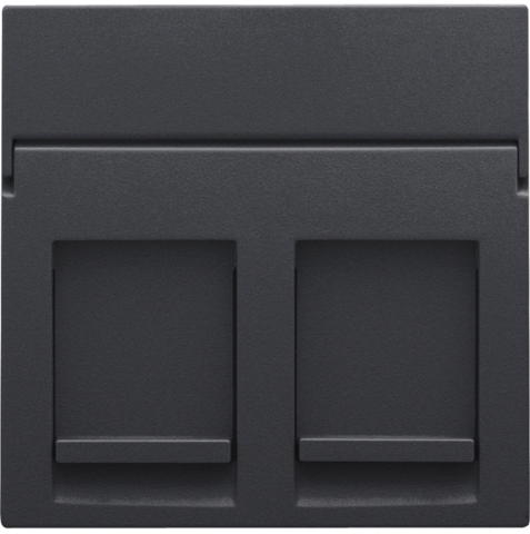 [NIK-122-65200] CENTRAALPLAAT DATA 2X RJ