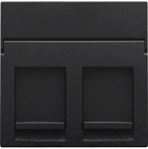 [NIK-200-65200] CENTRAALPLAAT DATA 2X RJ