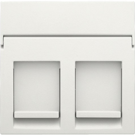 [NIK-101-65200] CENTRAALPLAAT DATA 2X RJ