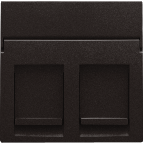 [NIK-124-65200] CENTRAALPLAAT DATA 2X RJ