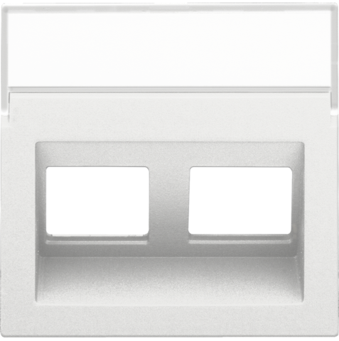 [NIK-154-65400] CENTRAALPLAAT DATA 2X RJ, SCHUINE UITGANG